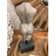 FEMALE TORSO ORNAMENT