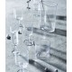 Champagne glass Ripe - Clear