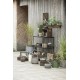 Box set of 2 w/text "Caisse de Stockage" 