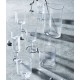 Glass Ripe - Clear